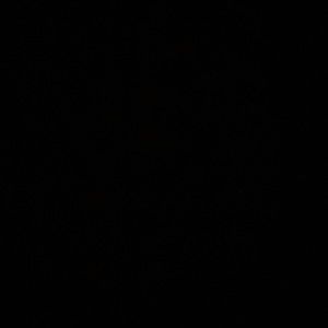 Meet your Posher, Danica